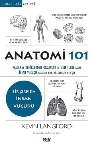 Anatomi 101 resmi