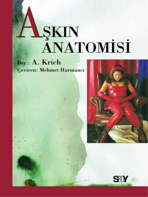 Aşkın Anatomisi resmi