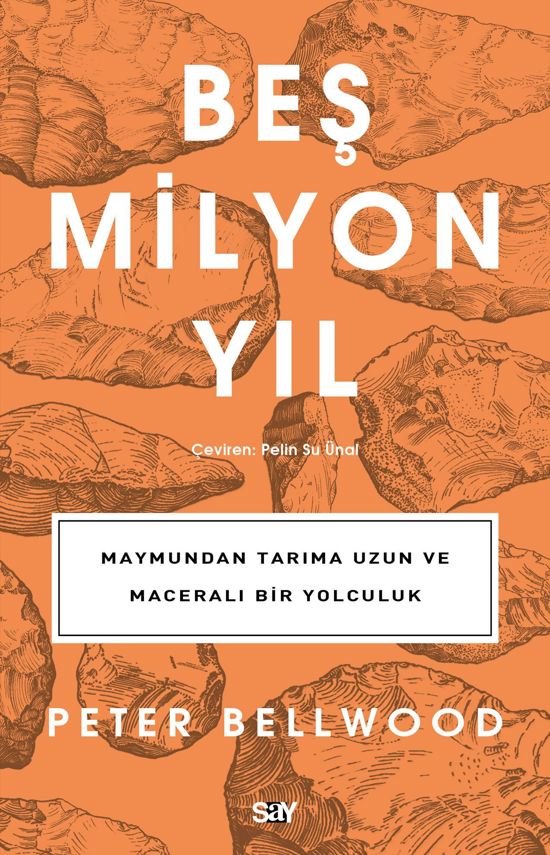 Beş Milyon Yıl resmi