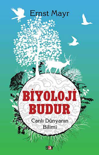 Biyoloji Budur resmi