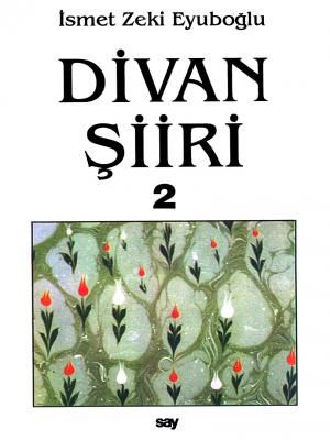 Divan Şiiri 1-2 (2 cilt) resmi