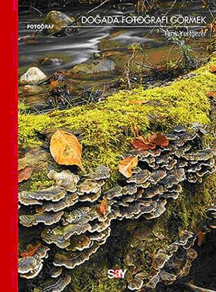 Doğada Fotoğrafı Görmek resmi