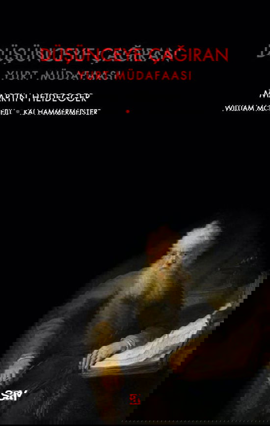 Düşünceye Çağıran resmi