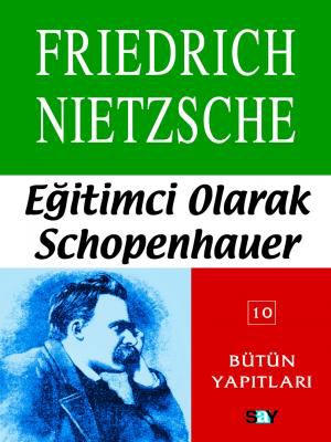 Eğitimci Olarak Schopenhauer resmi