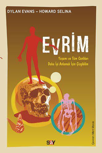 Evrim (Çizgibilim) resmi