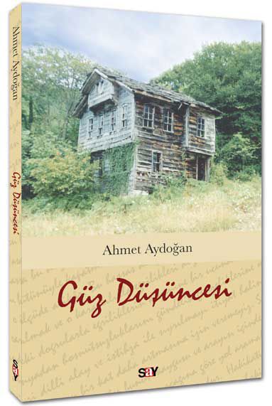 Güz Düşüncesi resmi