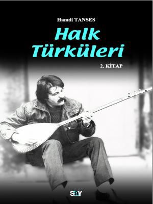 Halk Türküleri / 2. kitap resmi