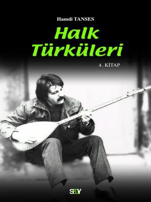 Halk Türküleri / 4. kitap resmi