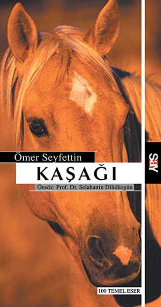 Kaşağı resmi
