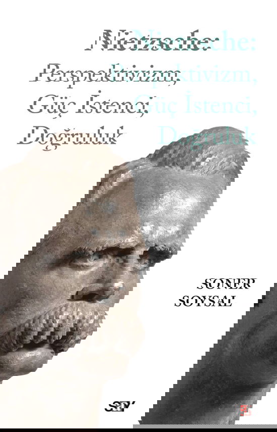 Nietzsche: Perspektivizm, Güç İstenci, Doğruluk resmi