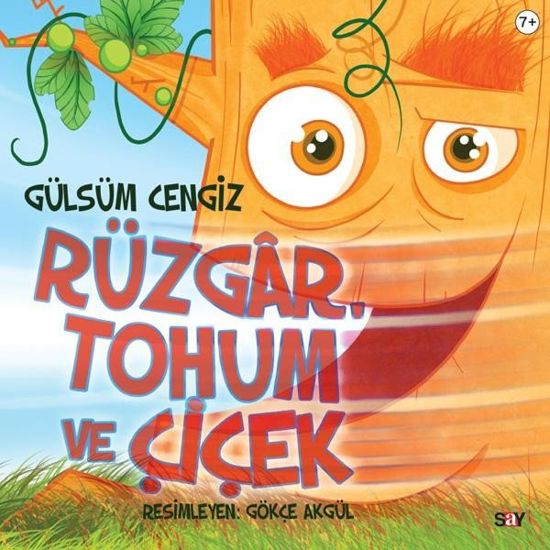 Rüzgar Tohum ve Çiçek resmi