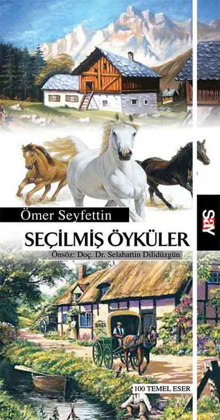 Seçilmiş Öyküler resmi