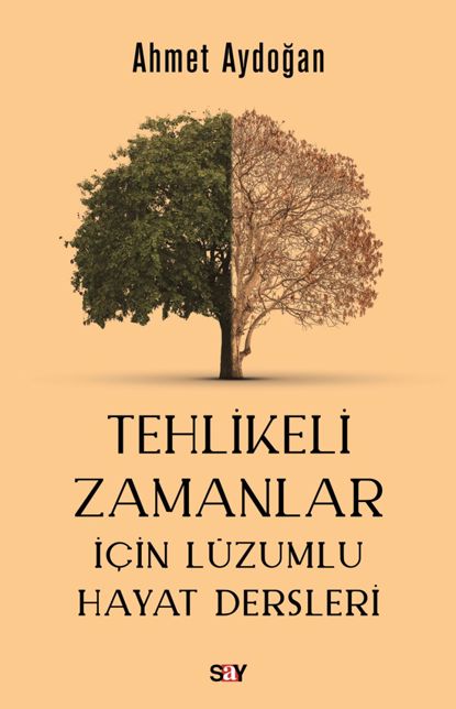 Tehlikeli Zamanlar İçin Lüzumlu Hayat Dersleri (E-kitap) resmi
