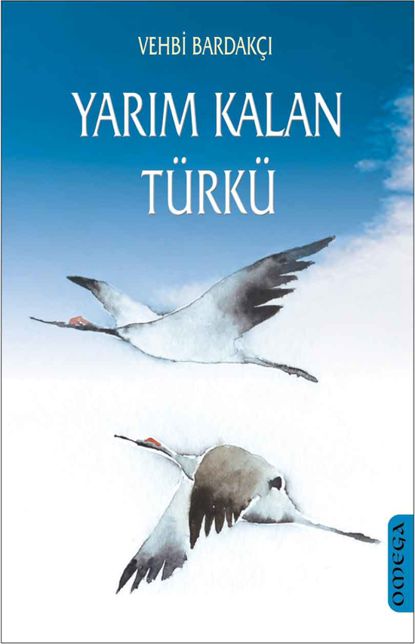 Yarım Kalan Türkü resmi