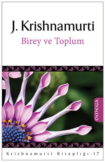 Krishnamurti Kitaplığı - 17 / Birey ve Toplum resmi