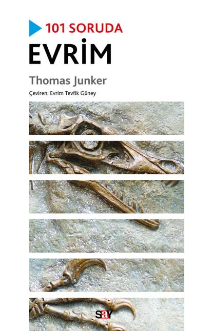 101 Soruda Evrim resmi