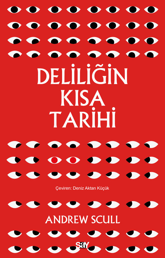 Deliliğin Kısa Tarihi resmi