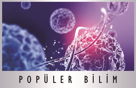 Popüler Bilim kategorisi için resim