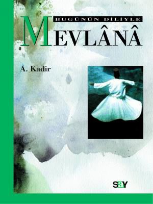 Bugünün Diliyle Mevlânâ resmi