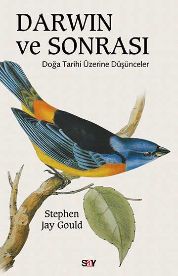 Darwin ve Sonrası resmi