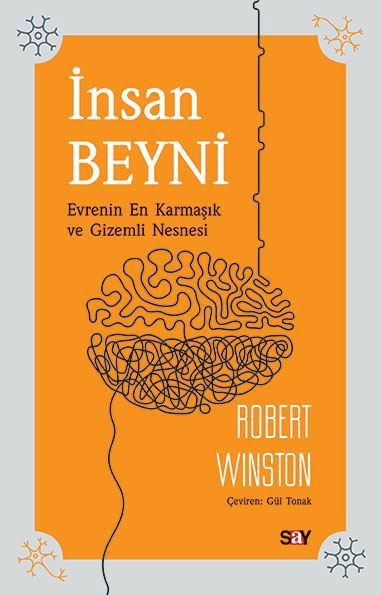 İnsan Beyni resmi