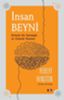 İnsan Beyni resmi