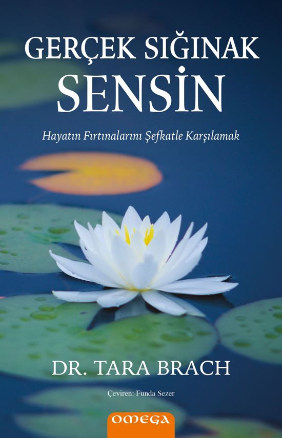 GERÇEK SIĞINAK SENSİN resmi
