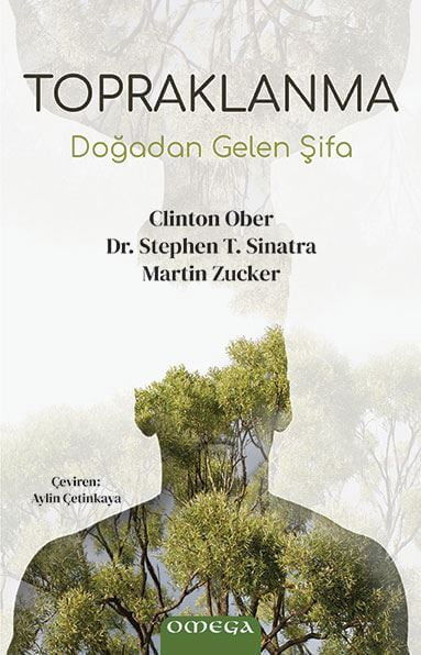 Topraklanma resmi
