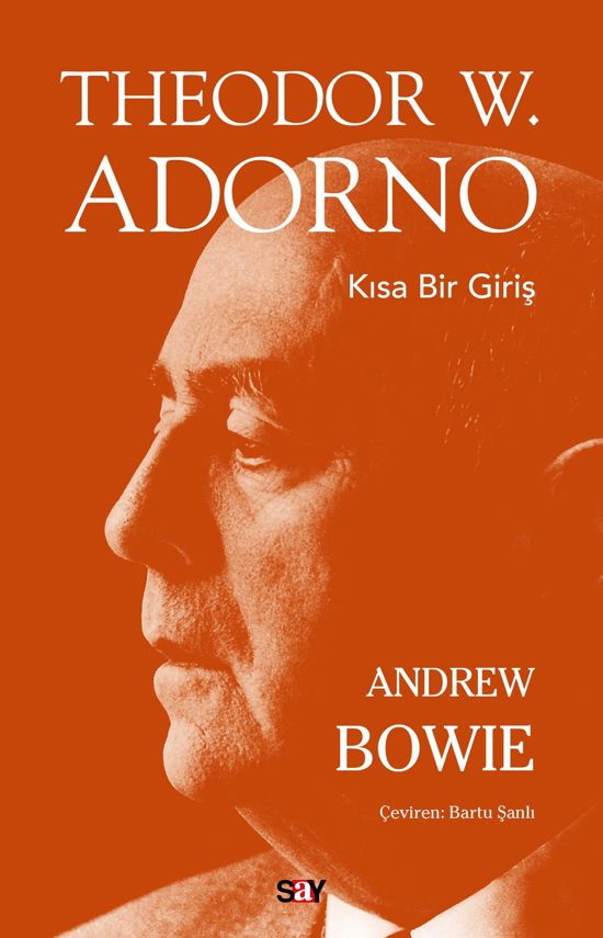 THEDOR W.ADORNO KISA BİR GİRİŞ resmi