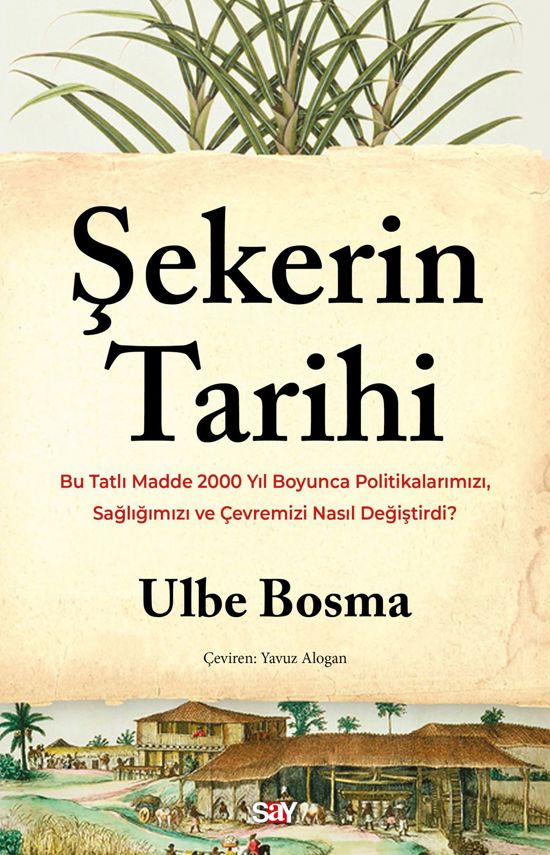 ŞEKERİN TARİHİ resmi