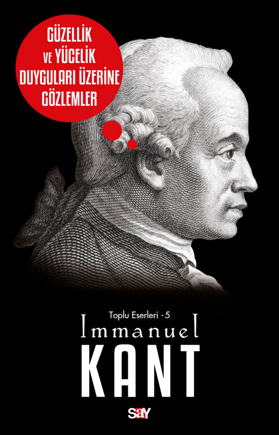 Güzellik ve Yücelik Duyguları Üzerine Gözlemler resmi