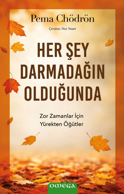 Her Şey Darmadağın Olduğunda resmi