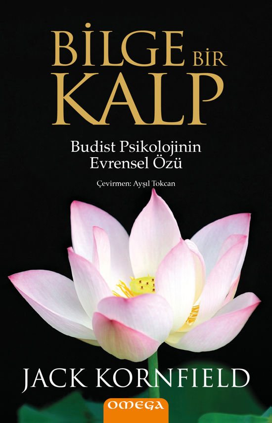 Bilge Bir Kalp resmi